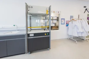 American International School Bucharest 12